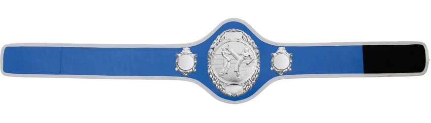 KICKBOXING CHAMPIONSHIP BELT-PRO286/S/KBOS-10+ COLOURS